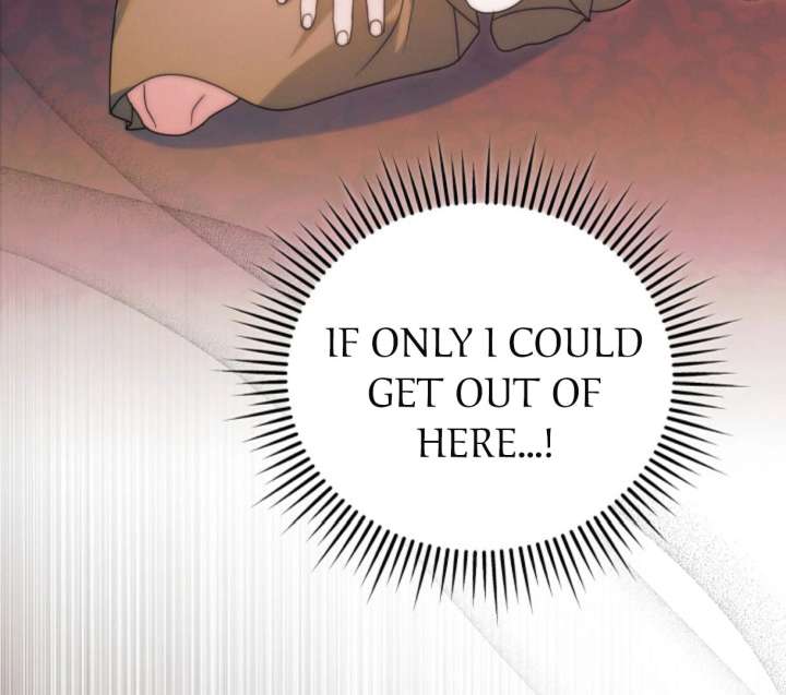 Read Try Begging Me EN Manga Online