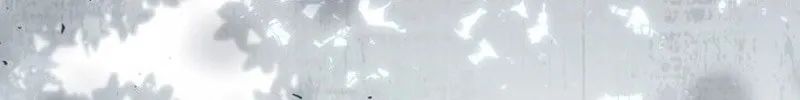 Read Villainess Streamer EN Manga Online