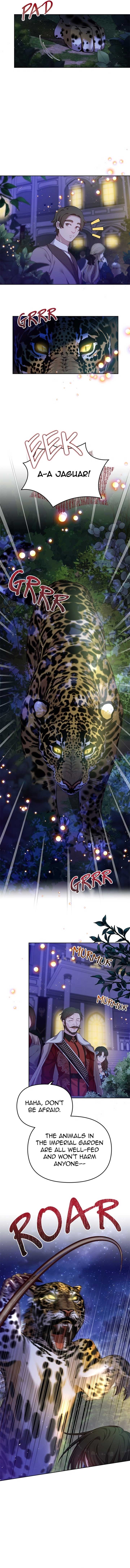 Read When Two Villains Meet EN Manga Online