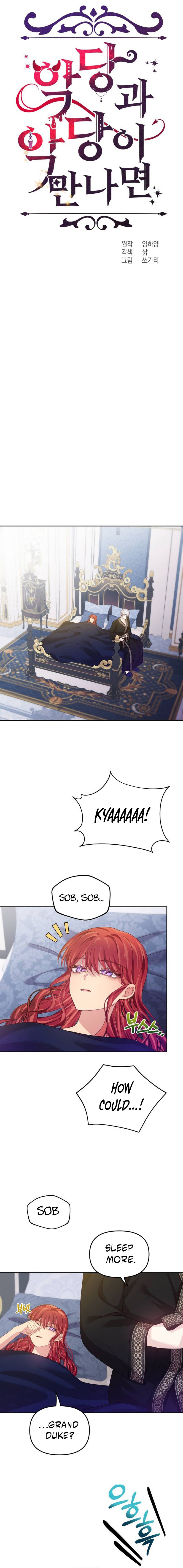 Read When Two Villains Meet EN Manga Online