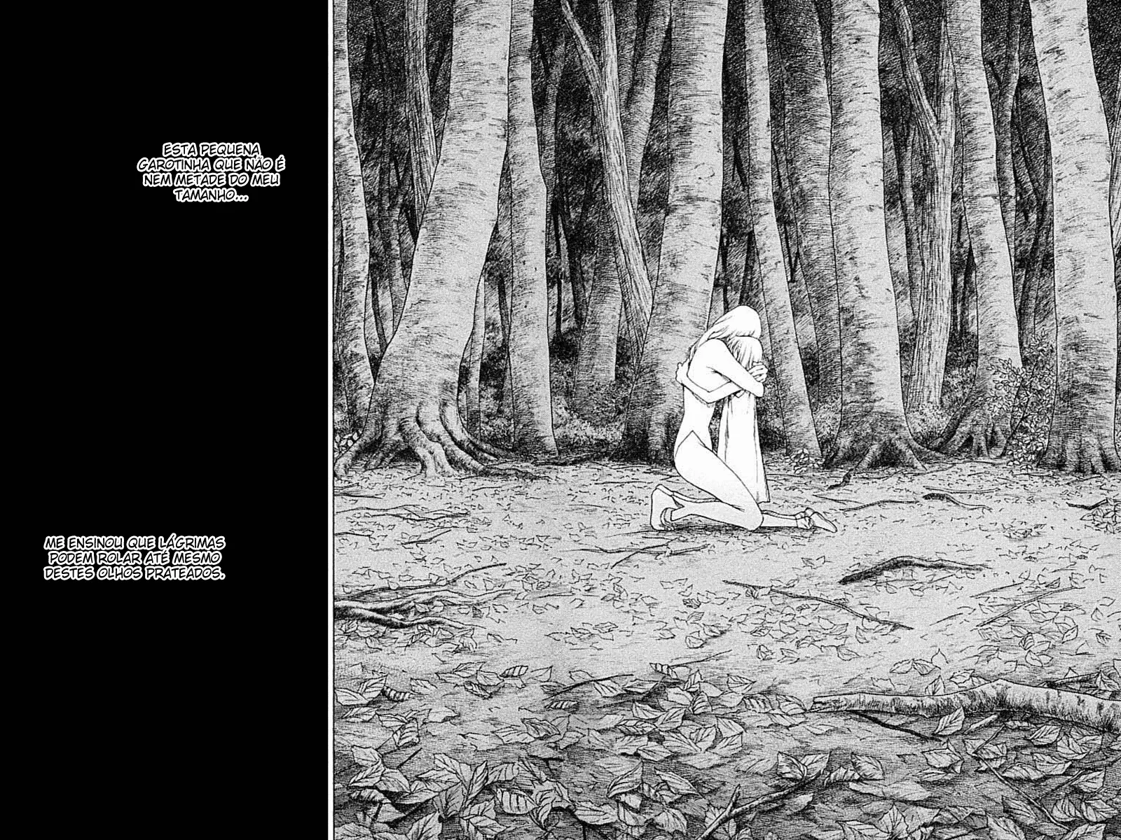 Read Claymore PT Manga Online