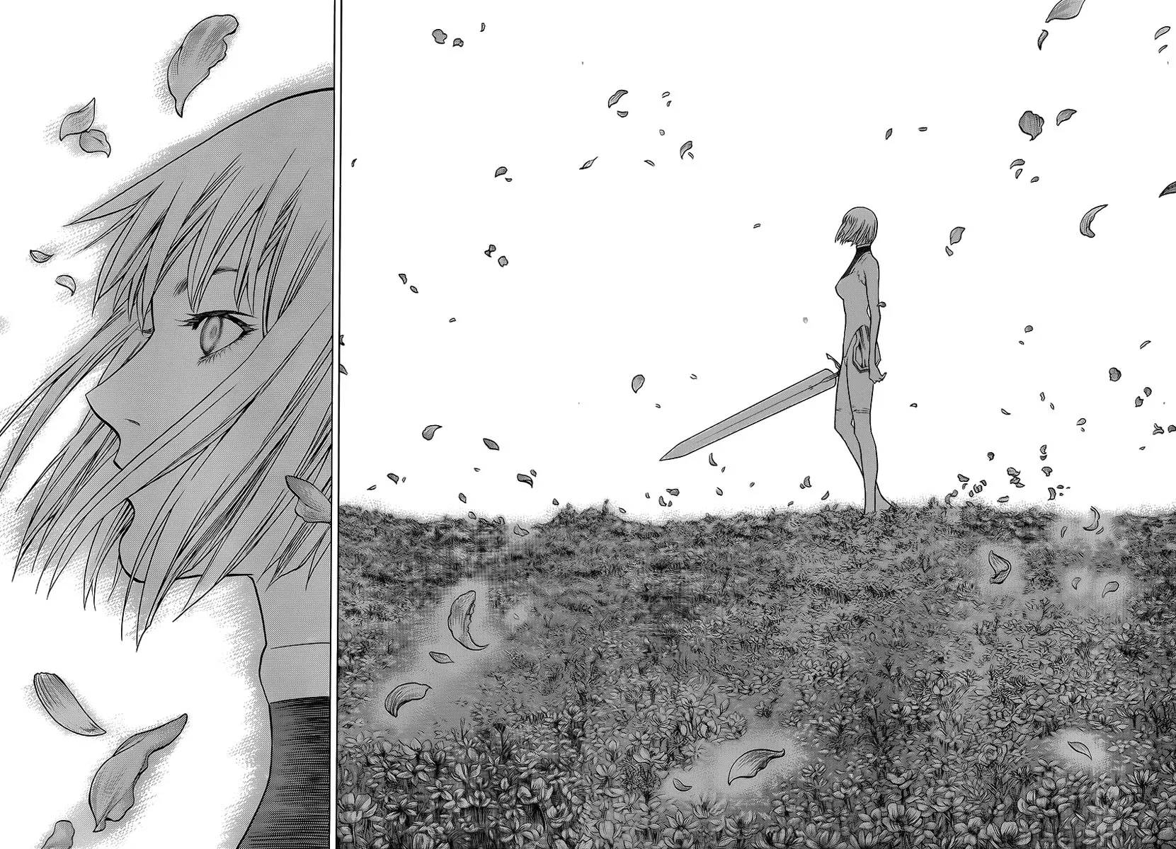 Read Claymore PT Manga Online