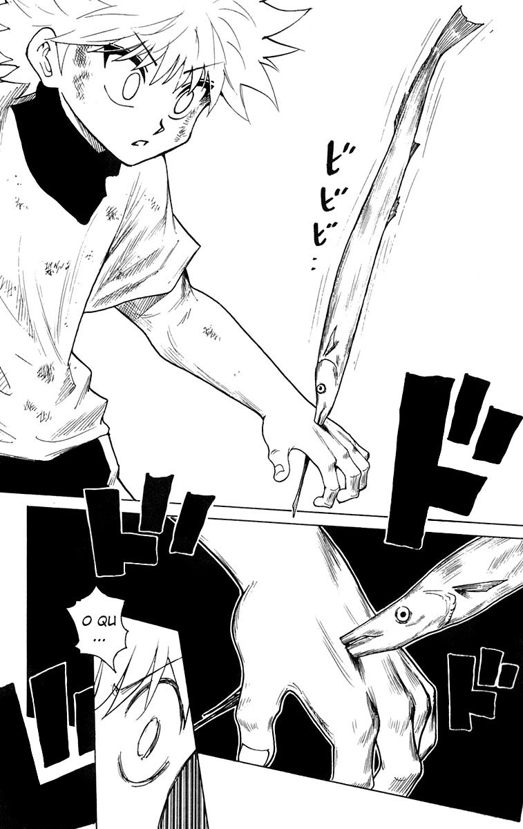 Read Hunter x Hunter PT Manga Online