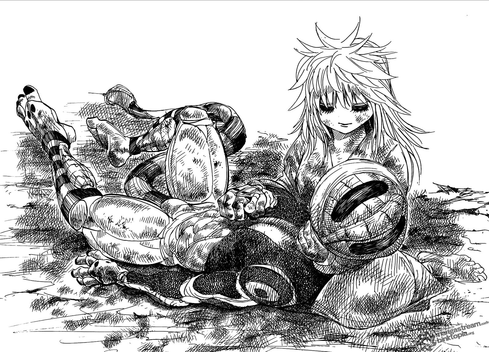 Read Hunter x Hunter PT Manga Online