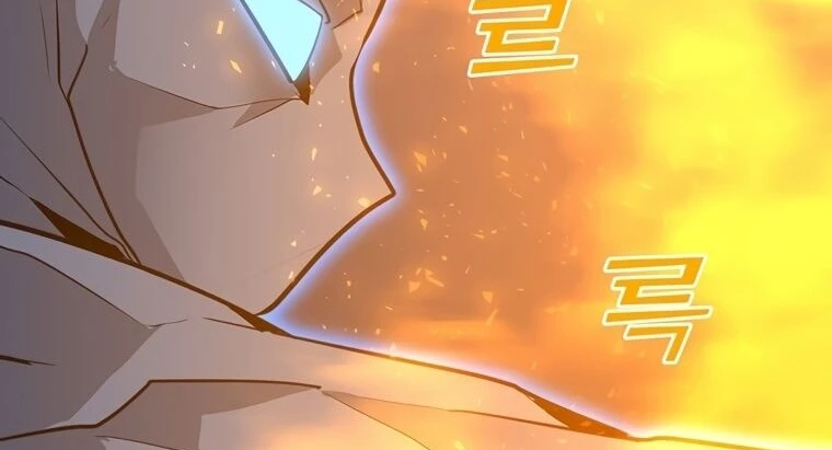 Read O Conjurador Solitário PT Manga Online