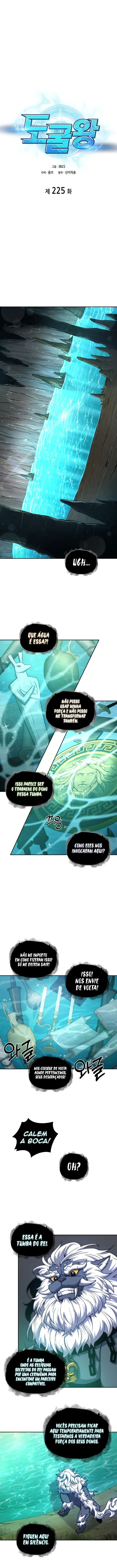 Read O Rei dos Saqueadores de Tumbas PT Manga Online