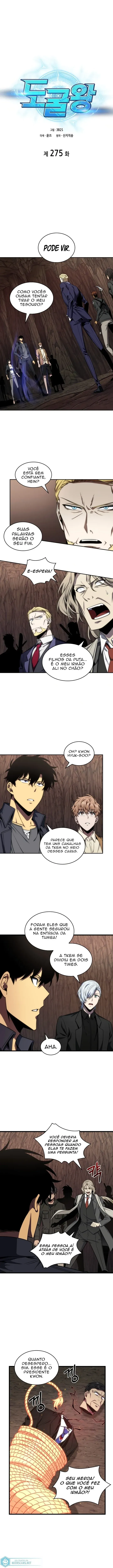 Read O Rei dos Saqueadores de Tumbas PT Manga Online