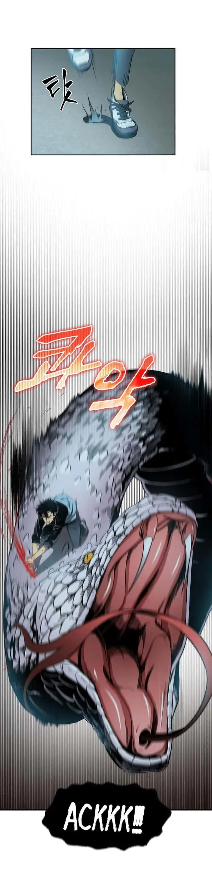 Read O Rei dos Saqueadores de Tumbas PT Manga Online