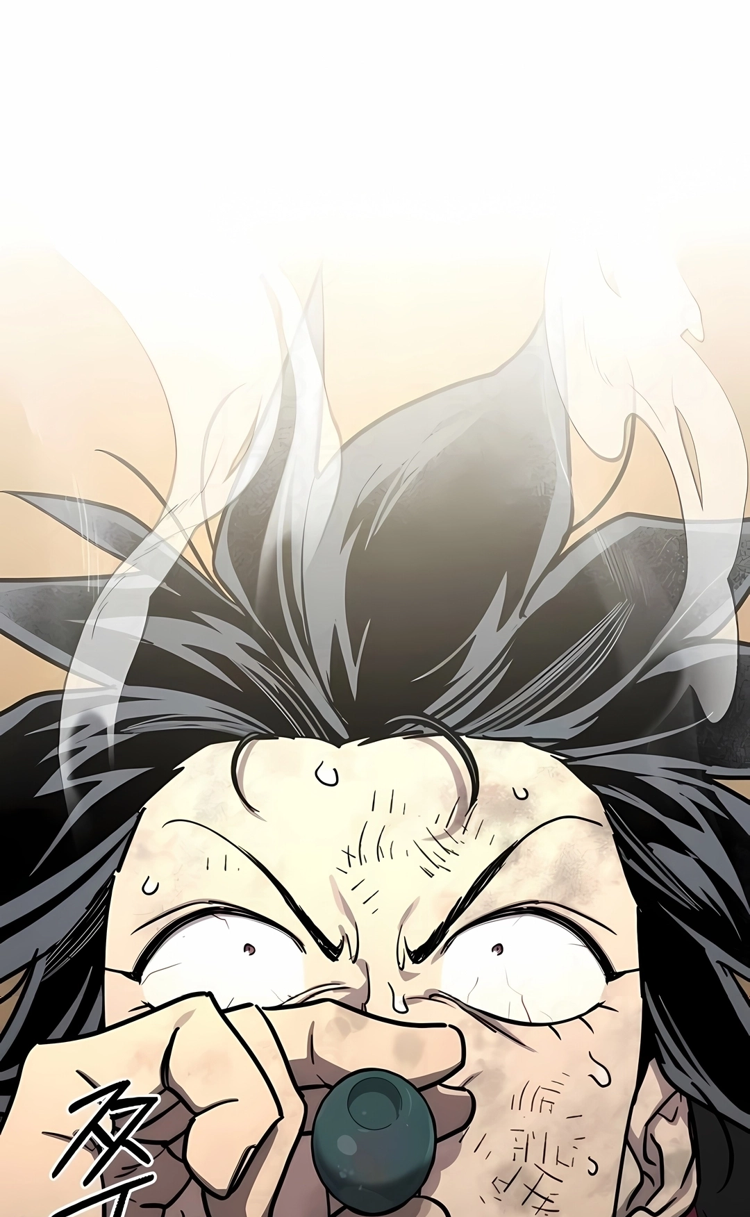 Read O Retorno da Seita do Monte Hua PT Manga Online
