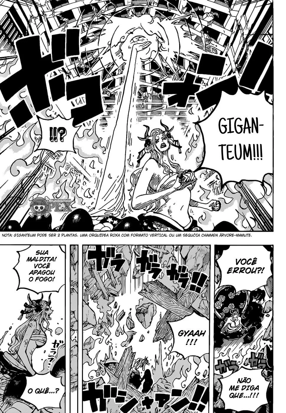 Read One Piece PT Manga Online