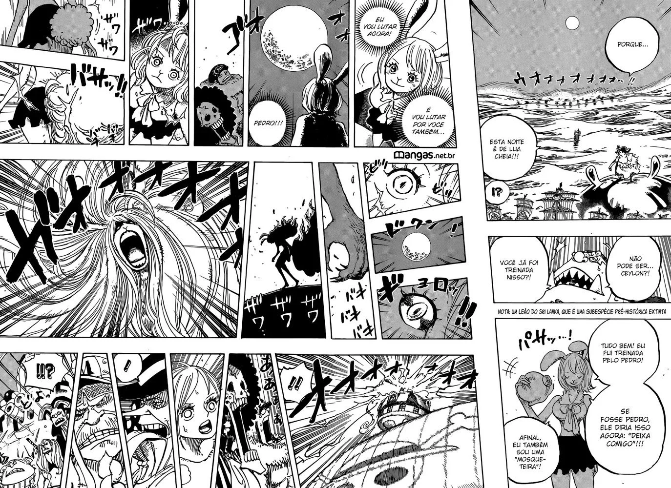 Read One Piece PT Manga Online