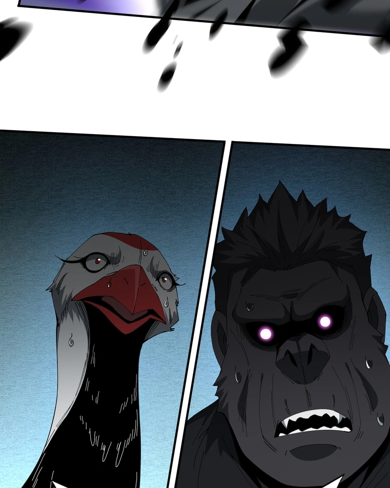 Read Profissão sem Valor Domador de Dragões PT Manga Online