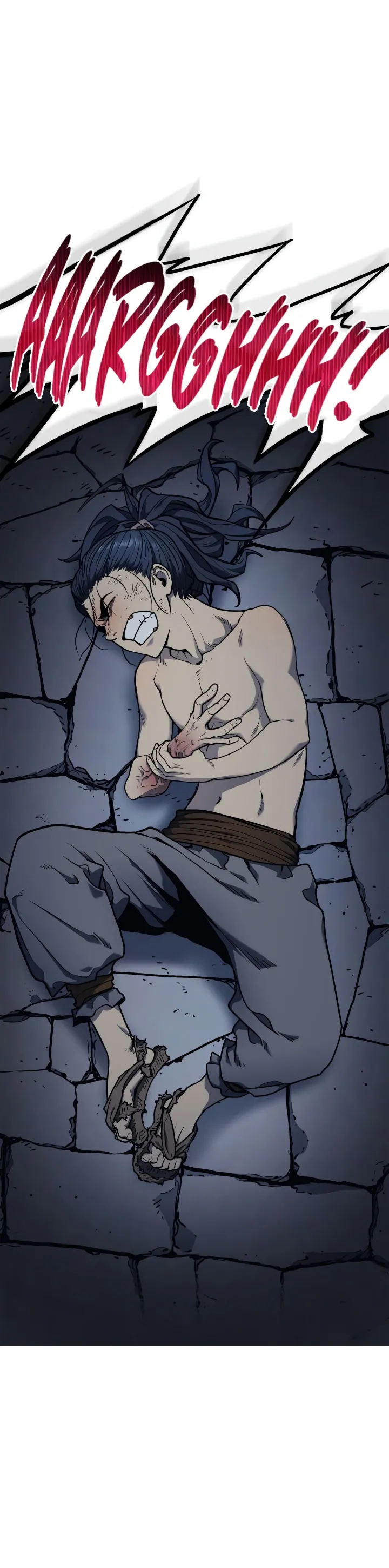 Read Reaper of the Drifting Moon PT Manga Online