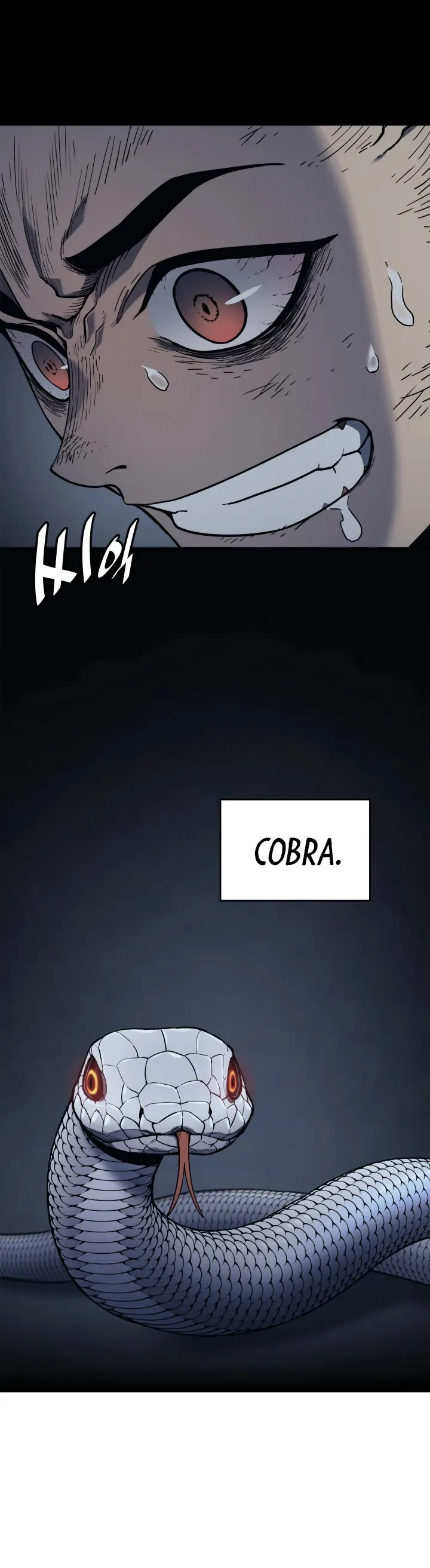 Read Reaper of the Drifting Moon PT Manga Online