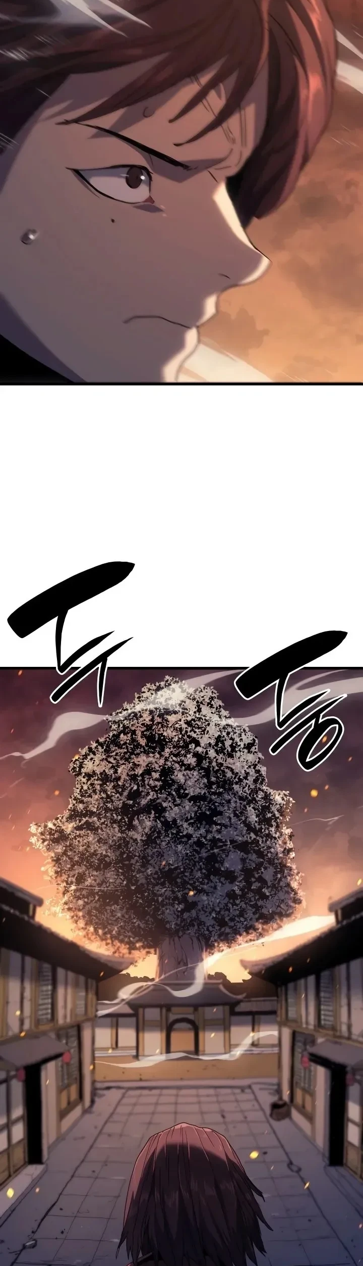 Read Reaper of the Drifting Moon PT Manga Online
