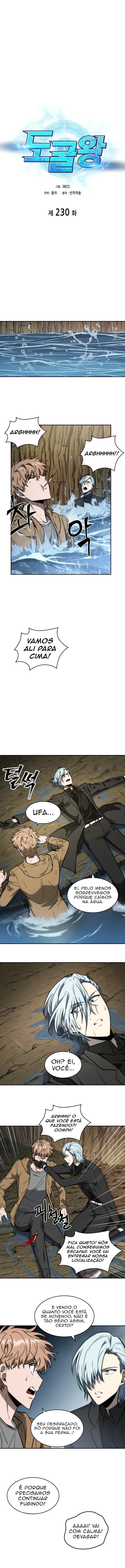 Read Rei dos Saqueadores de Tumba PT Manga Online