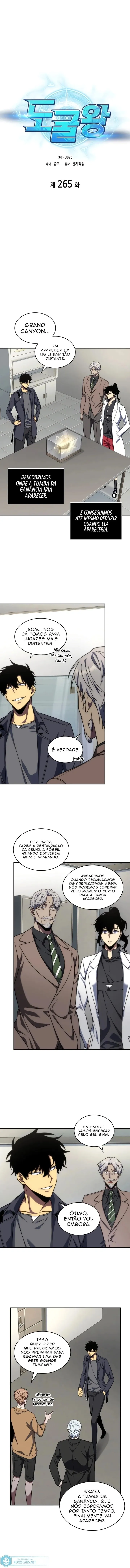 Read Rei dos Saqueadores de Tumba PT Manga Online