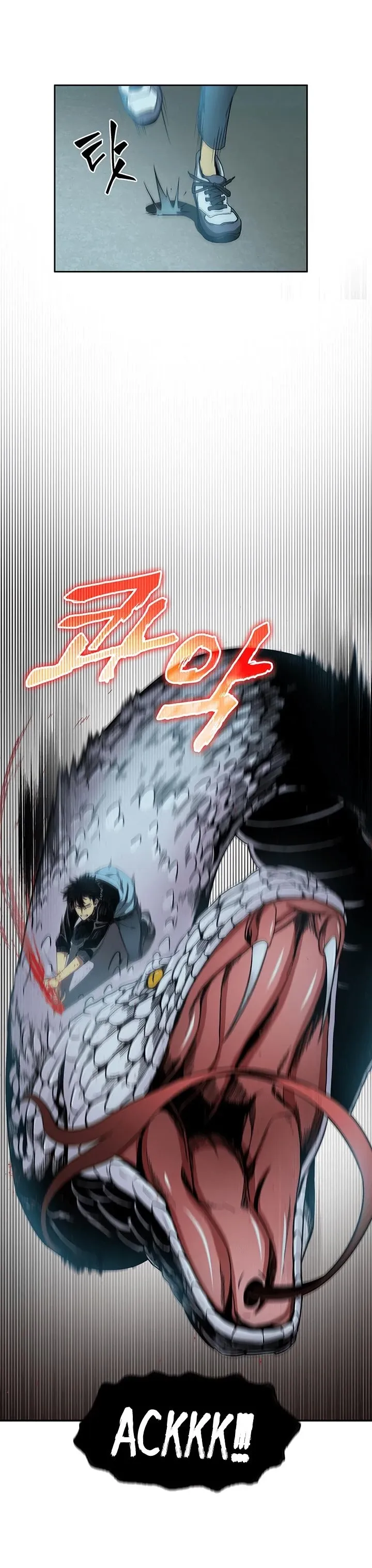 Read Rei dos Saqueadores de Tumba PT Manga Online