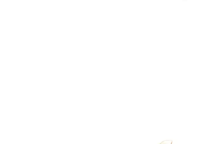 Read Revenge of the Iron Blooded Sword Hound PT Manga Online