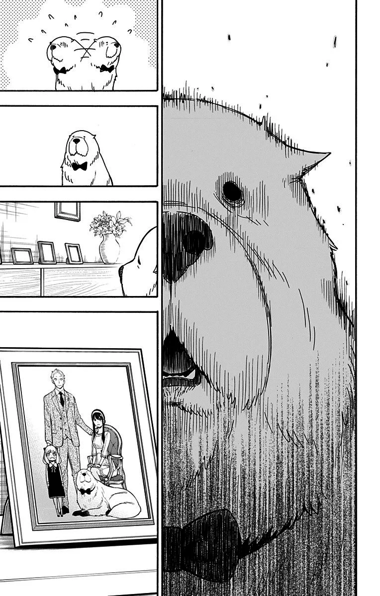 Read SPY×FAMILY PT Manga Online