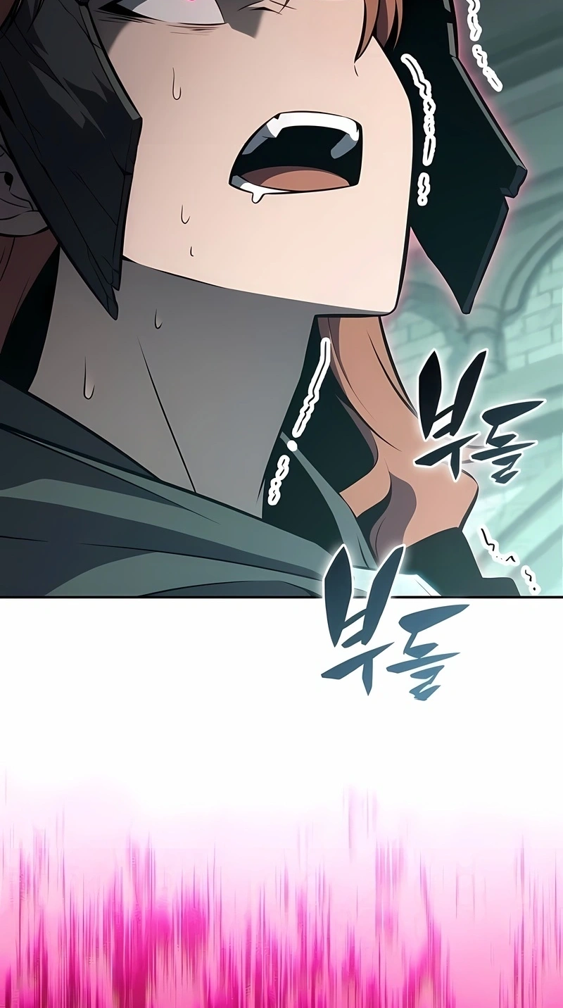 Read Solo Max Level Newbie PT Manga Online