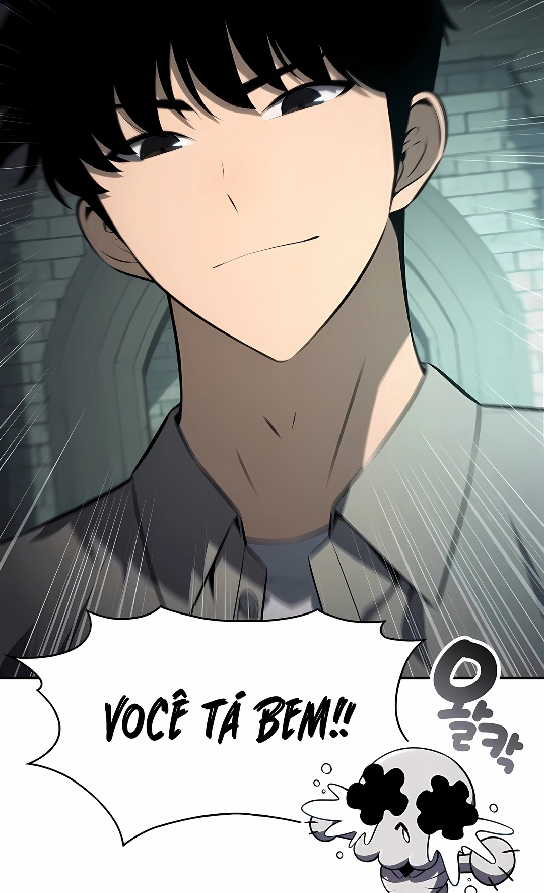 Read Solo Max Level Newbie PT Manga Online