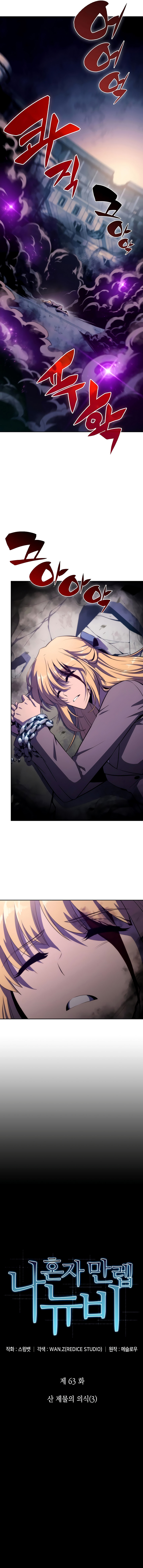 Read Solo Max Level Newbie PT Manga Online