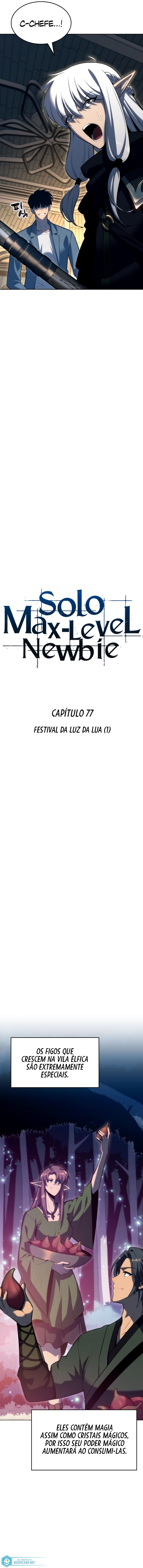Read Solo Max Level Newbie PT Manga Online