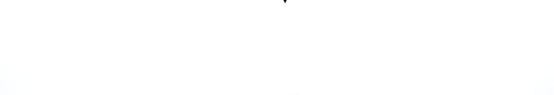 Read The Best Man In Charge PT Manga Online