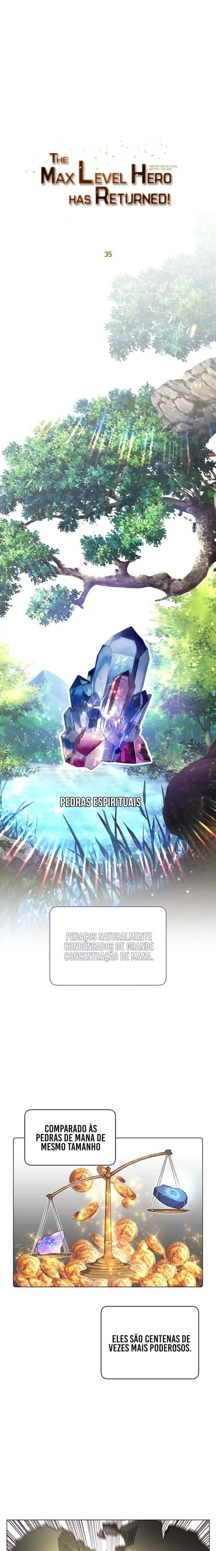 Read The Max Level Hero Has Returned PT Manga Online