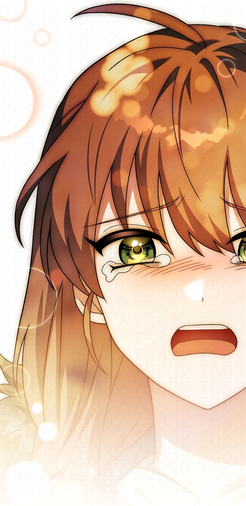 Read The Novel’s Extra PT Manga Online