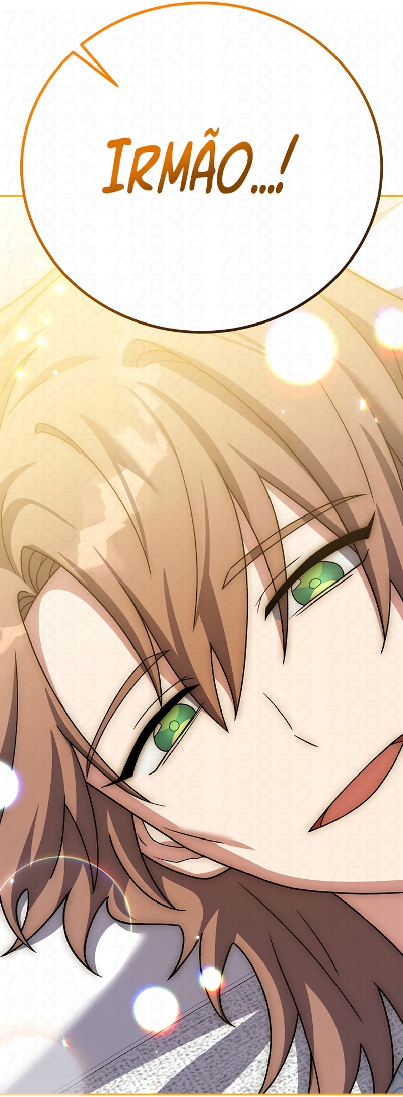 Read The Novel’s Extra PT Manga Online