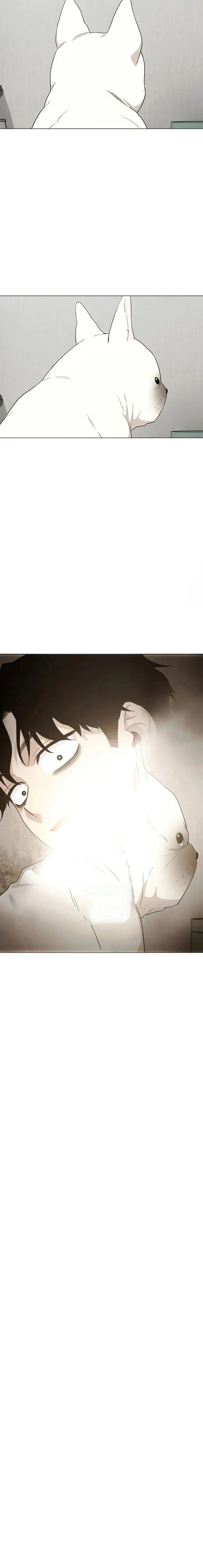 Read The Shaman's Blade PT Manga Online