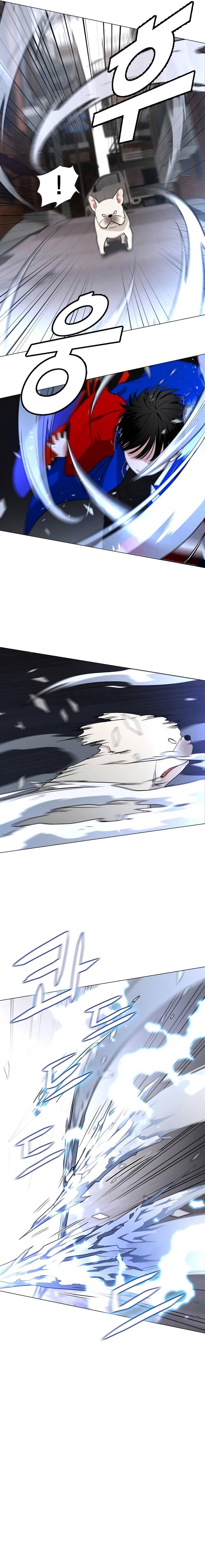 Read The Shaman's Blade PT Manga Online