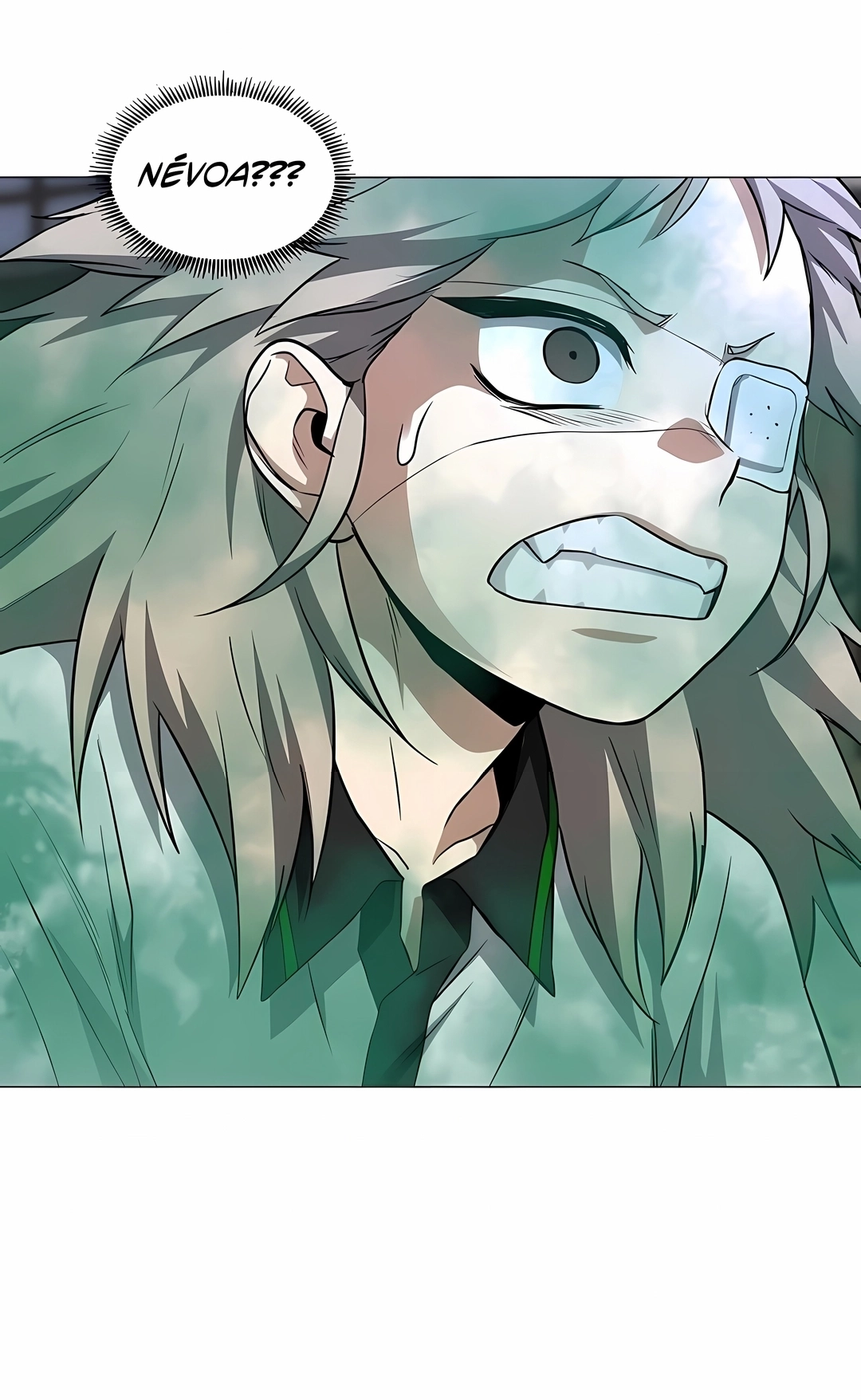 Read The Shaman's Blade PT Manga Online