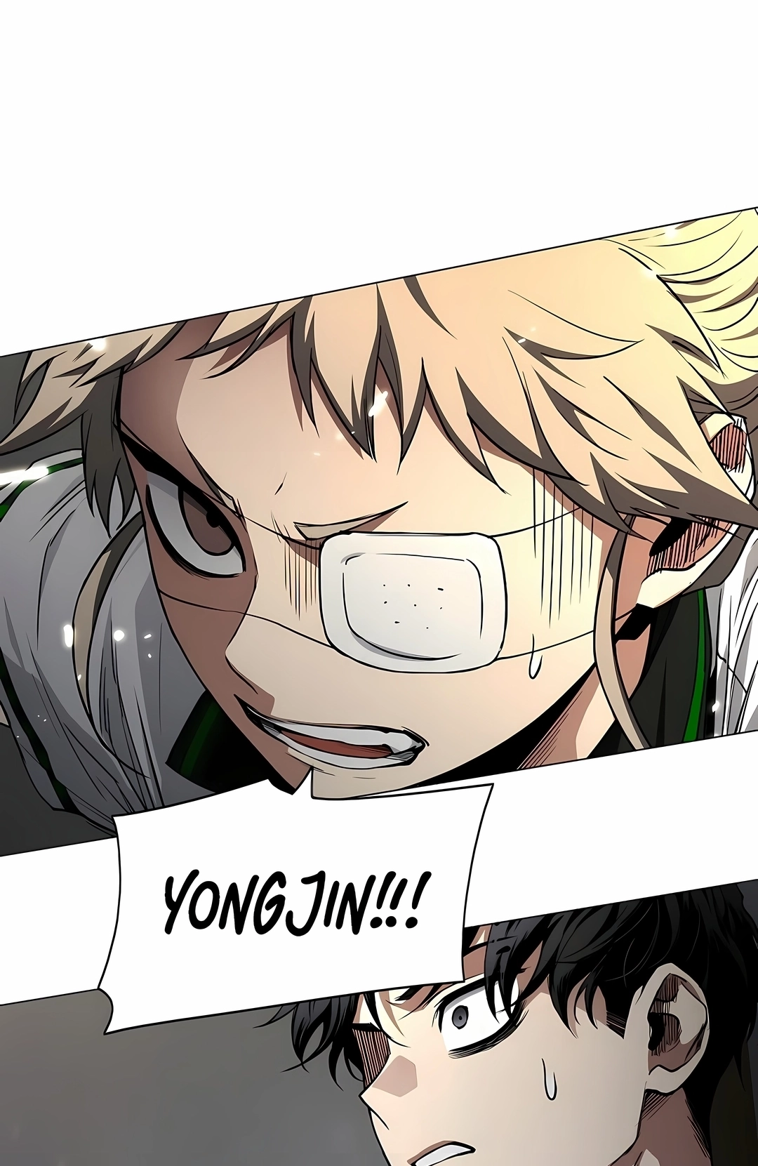 Read The Shaman's Blade PT Manga Online