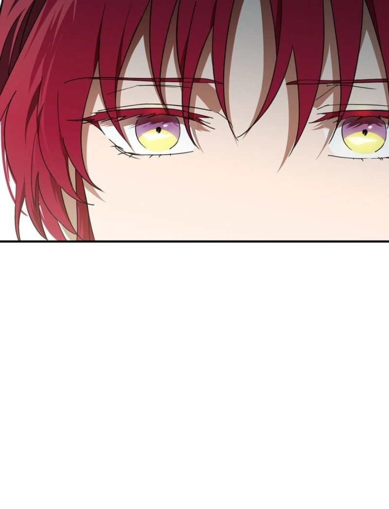 Read The Spark in Your Eyes PT Manga Online