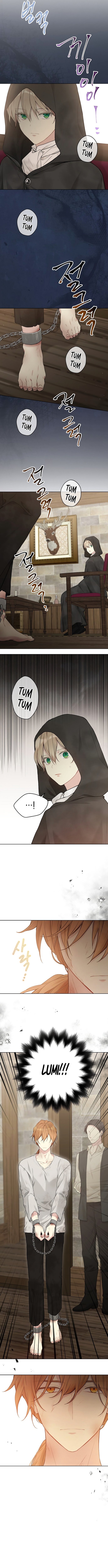 Read The Viridescent Crown PT Manga Online