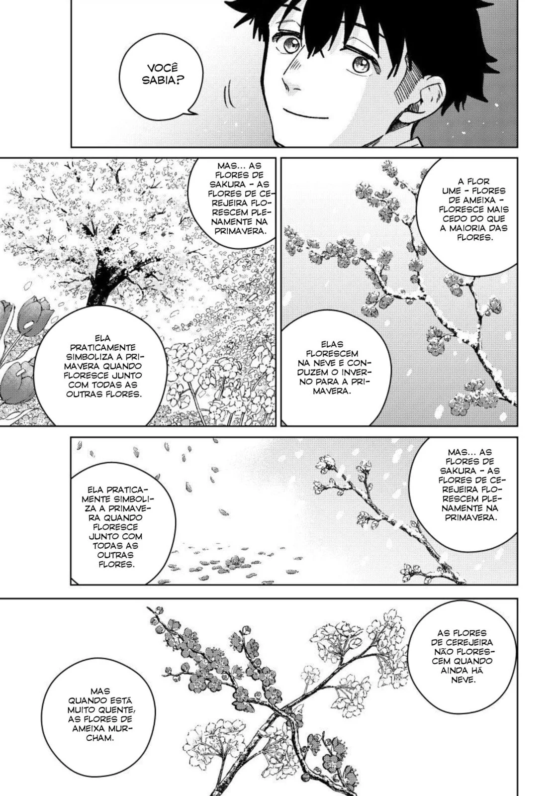 Read Wind Breaker PT Manga Online