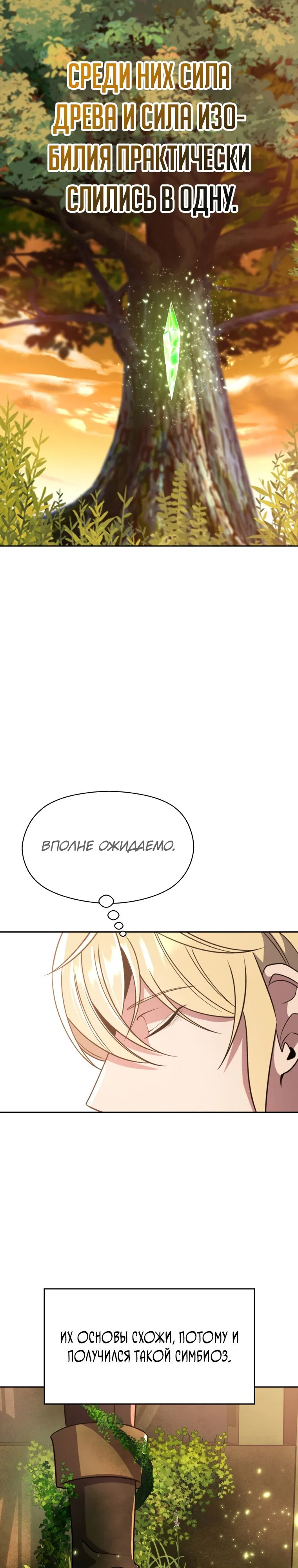 Read Архимаг Преодолевающий Регрессию RU Manga Online