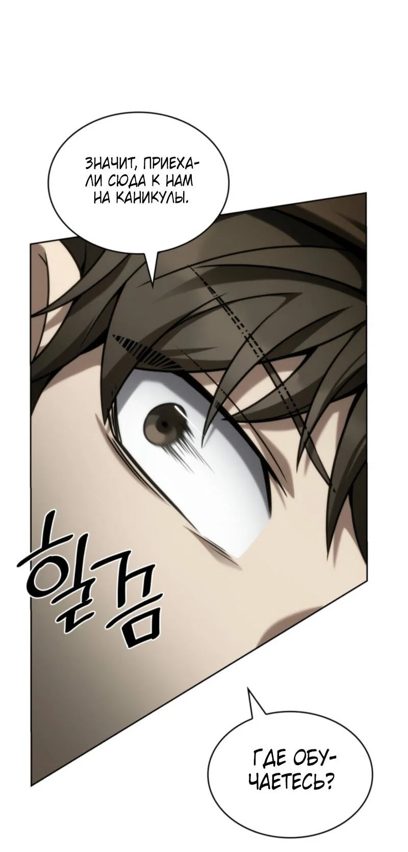 Read Безграничный маг RU Manga Online