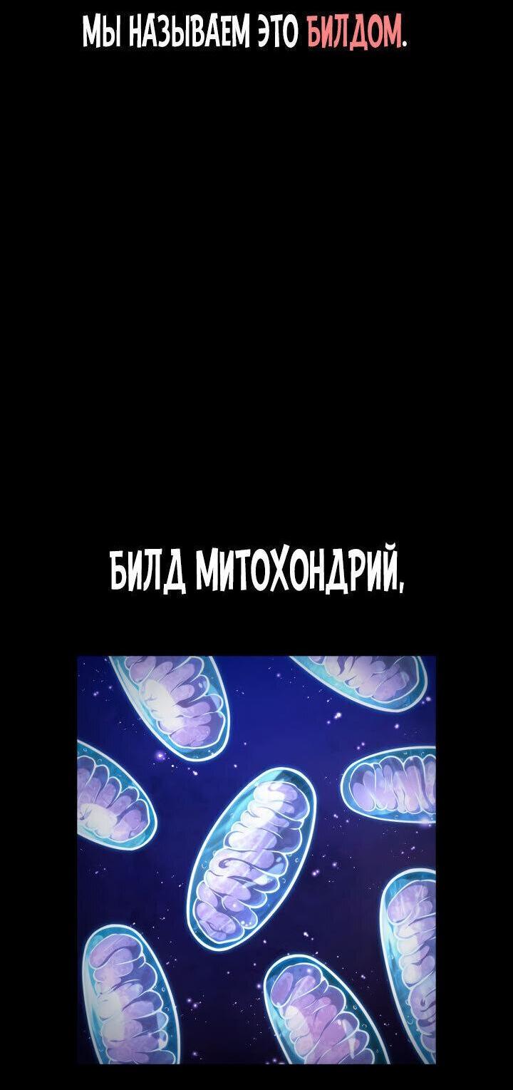 Read Безграничный маг RU Manga Online