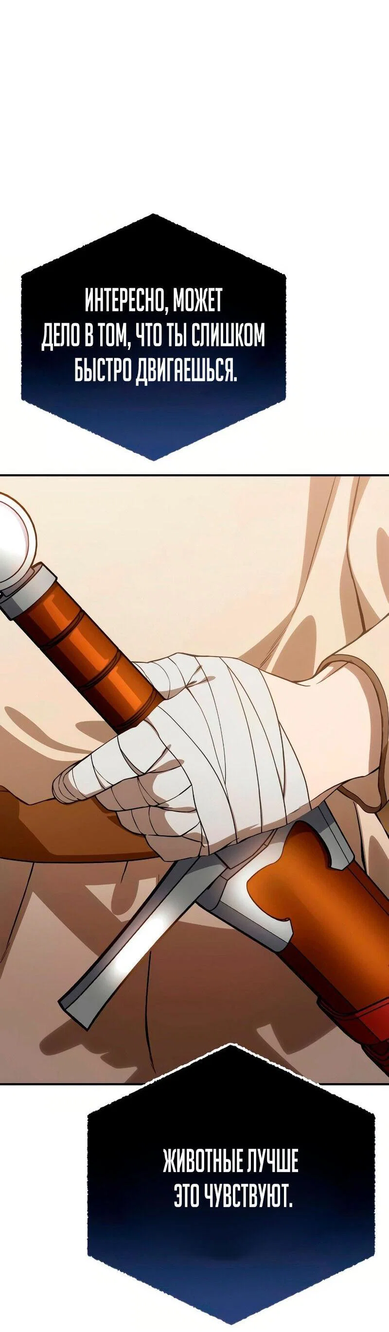 Read Звёздный мастер меча RU Manga Online
