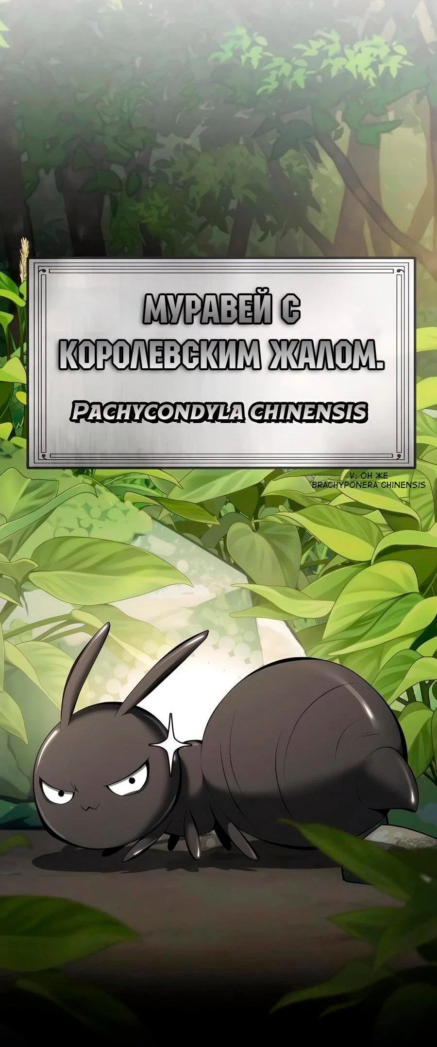 Read Знаток ядов из сычуаньского клана Тан RU Manga Online