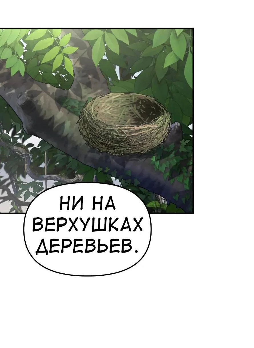 Read Знаток ядов из сычуаньского клана Тан RU Manga Online