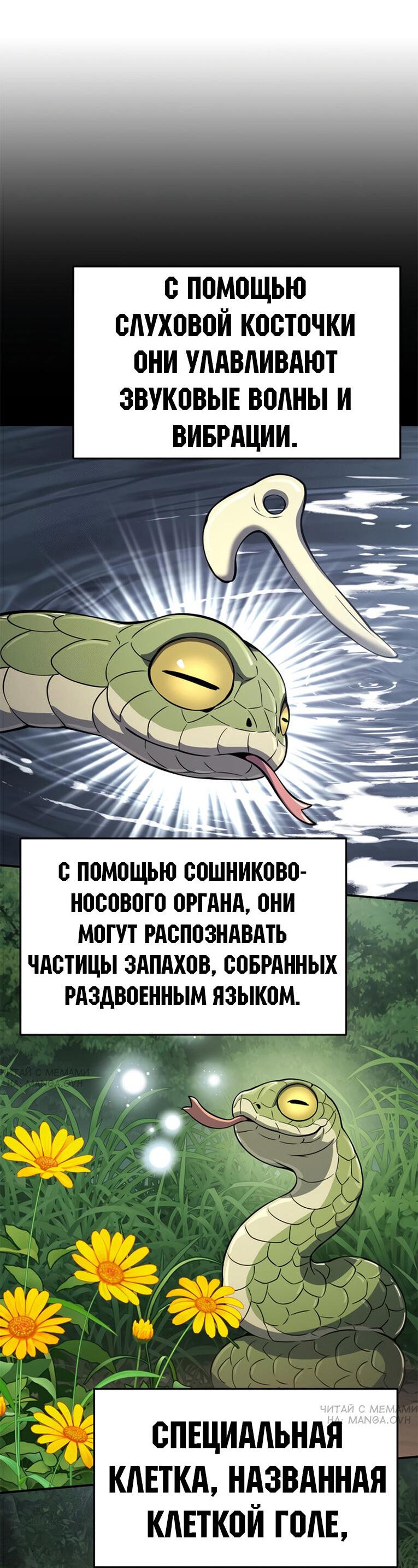 Read Знаток ядов из сычуаньского клана Тан RU Manga Online