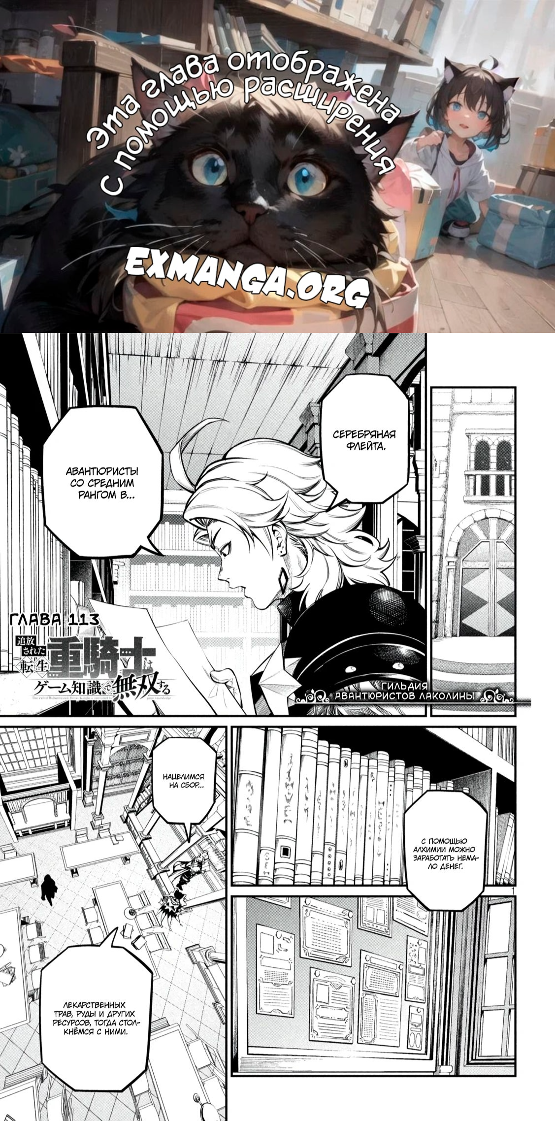 Read Изгнанный реинкарнированный тяжелый рыцарь не имеет себе равных в знаниях игры RU Manga Online