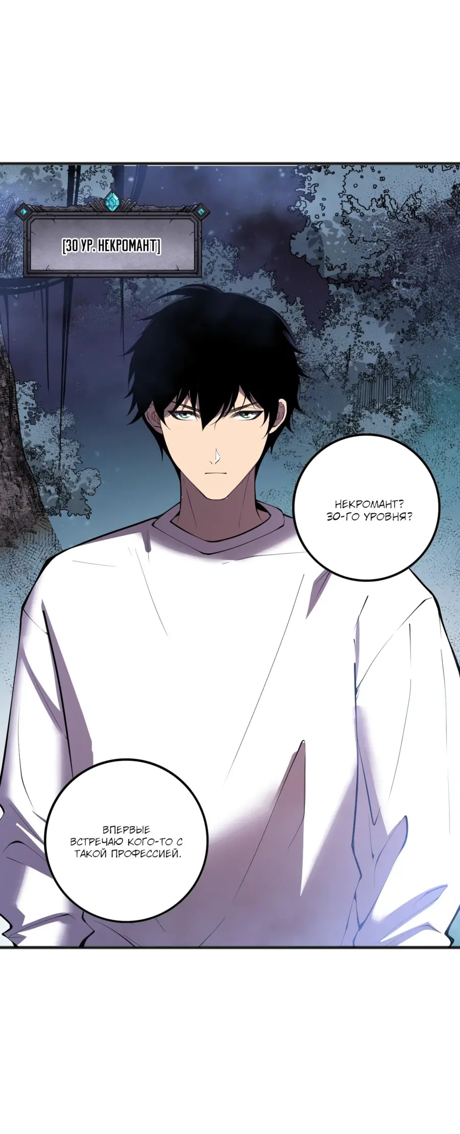 Read Некромант я катастрофа Necromancer I Am a Disaster RU Manga Online