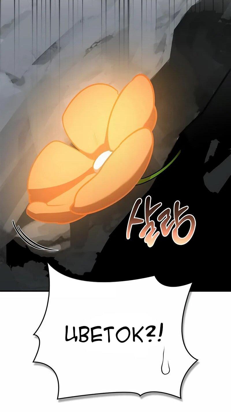 Read Охотник S класса который лечит монстров RU Manga Online