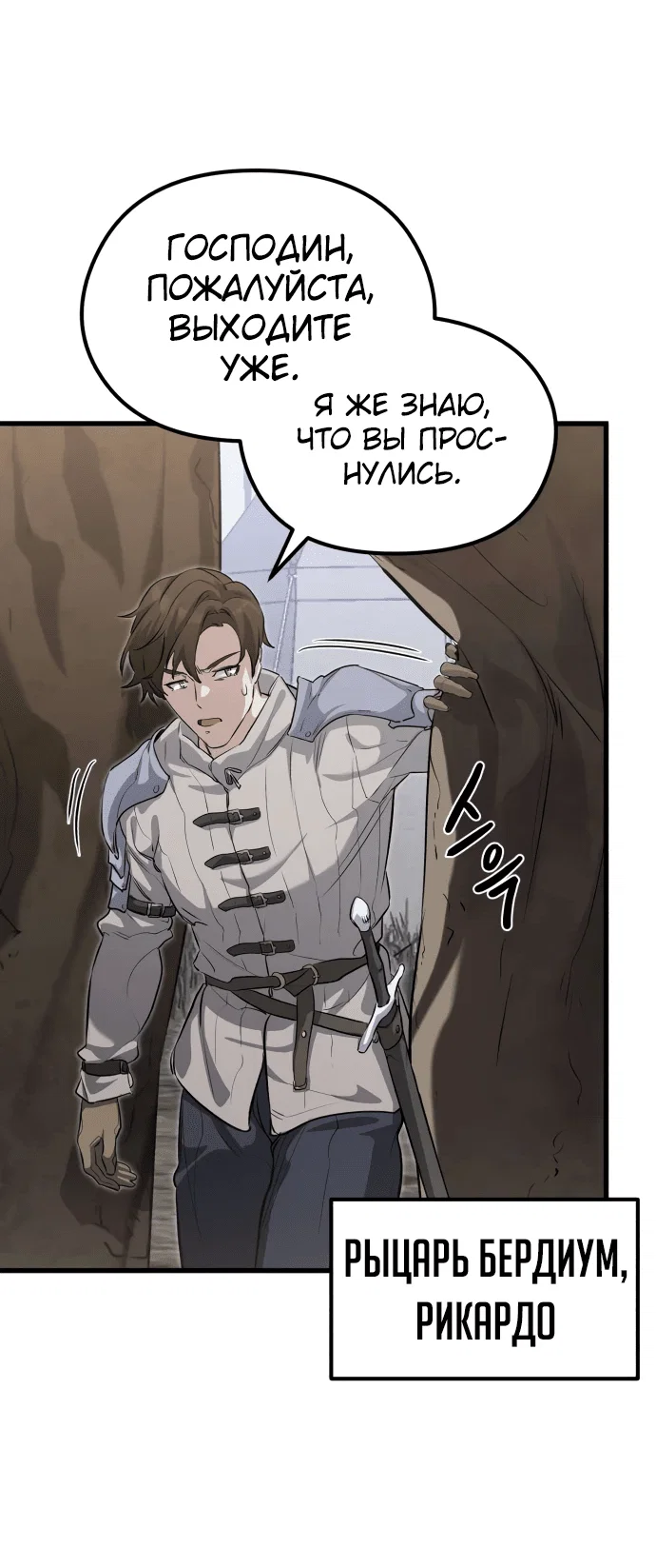 Read План перерожденного наёмника RU Manga Online